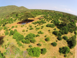 Waterhole-Air-7